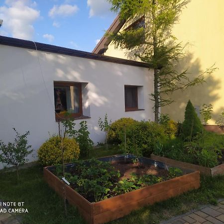 Apartament Gniezno - Mnichowo 外观 照片