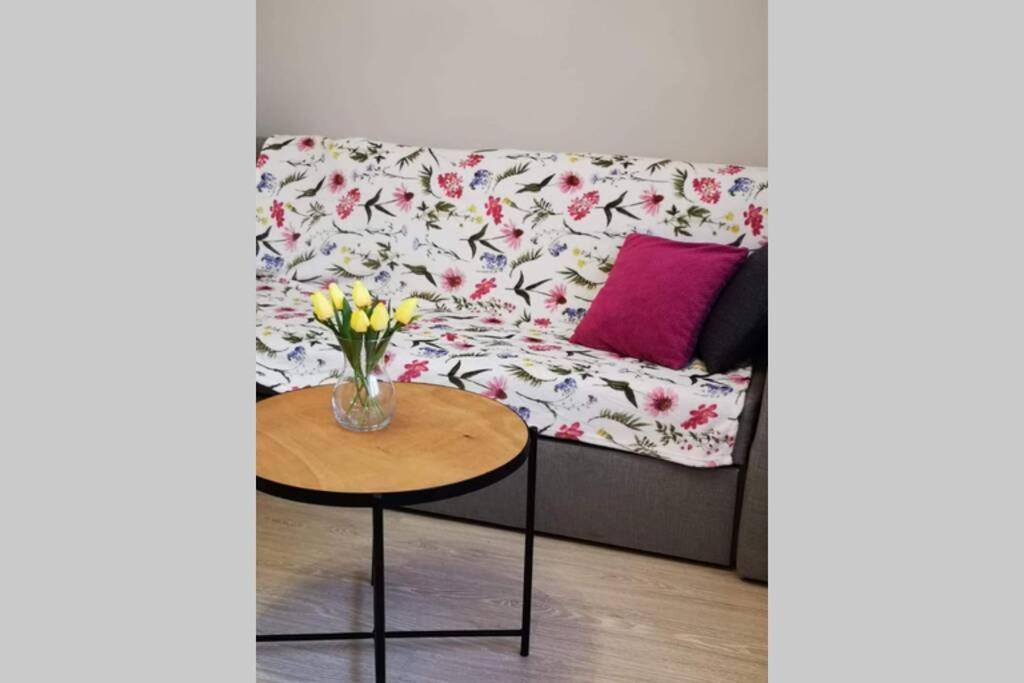 Apartament Gniezno - Mnichowo 外观 照片
